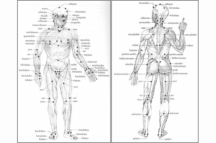 ayurveda different treatments offered