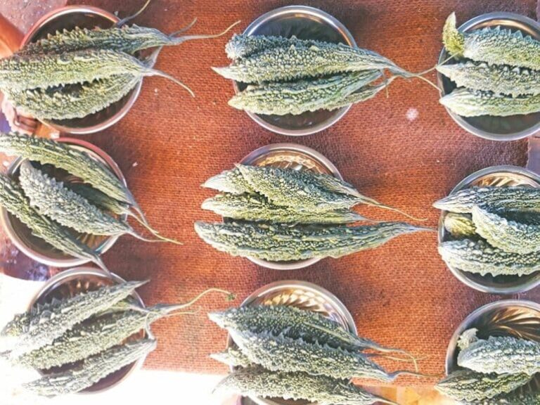 Chandei Weekly vegetables Market in Chettinad