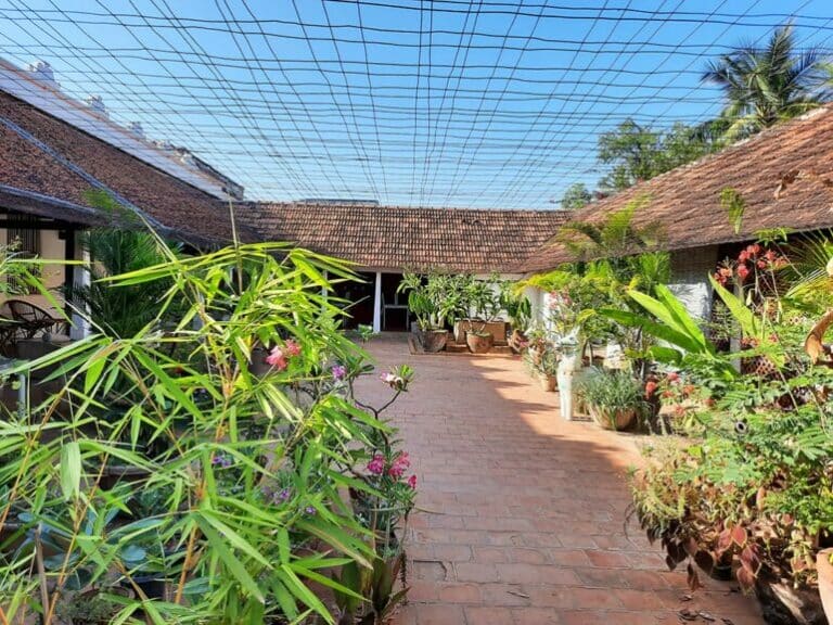 Evening open-air restaurant under the stars